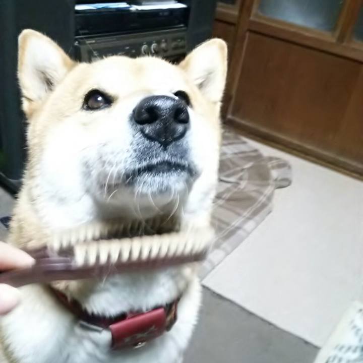 B8a7c734 c59d 443d 93a5 29d390be1128