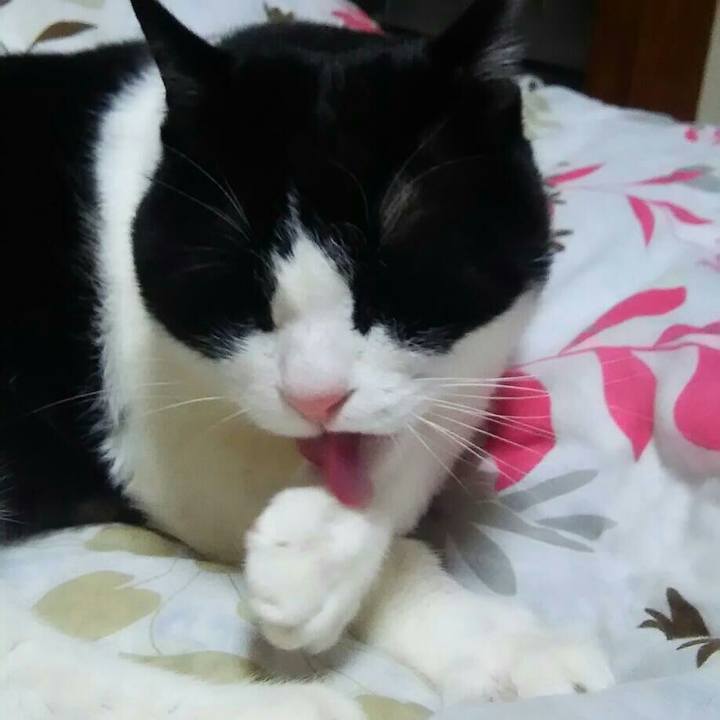 B8a83026 a053 4a38 8219 529a4b20c8ba