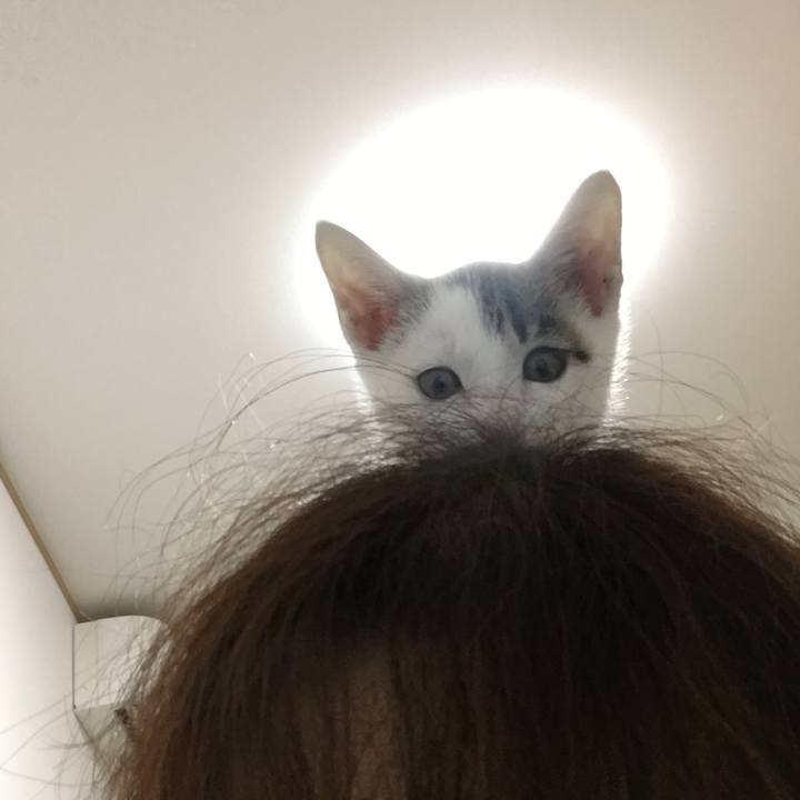 B8a8c67c 95db 4488 be7f 555d77df1078