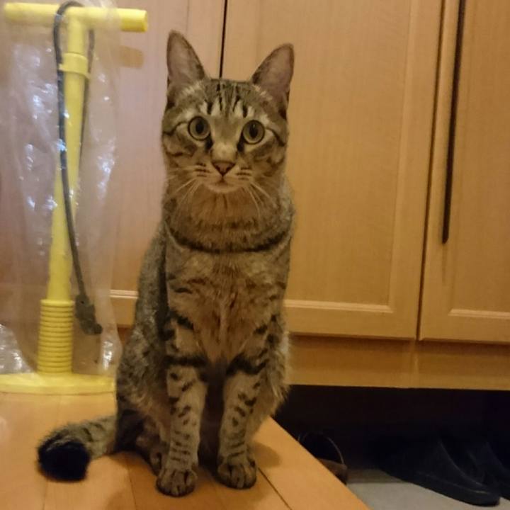 B8a94f99 89ec 4989 aeeb df8aff9d9f4d