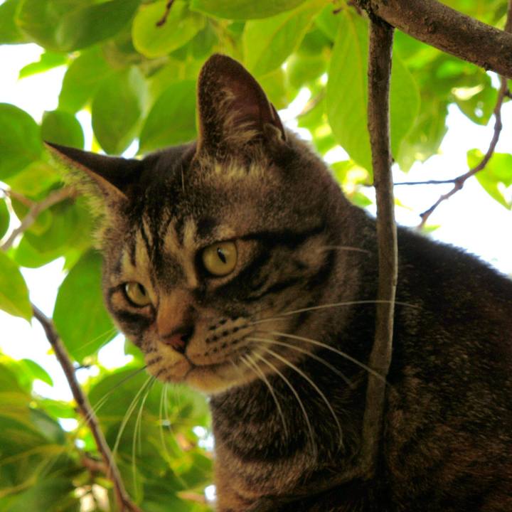 B8a95daf 7ad5 473d af59 68839460220a