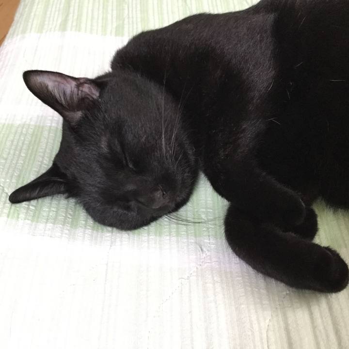 B8aa21a1 9a60 44d3 906f b04da4434082