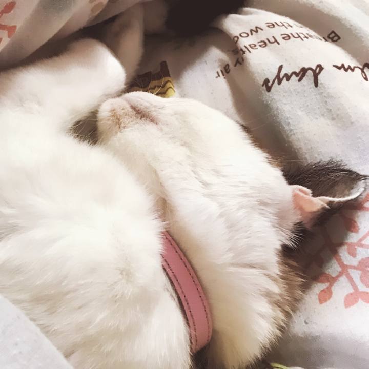 B8aa72b6 ccfa 45a4 9928 c9677e80e3bc