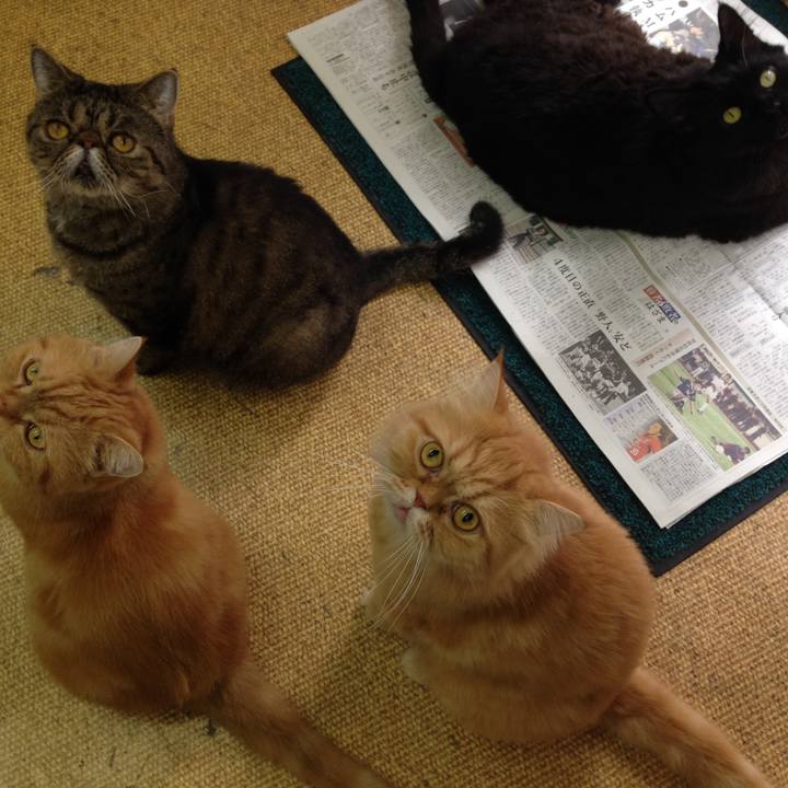 B8aac6d2 21c2 4323 afd2 5e77078ee34f