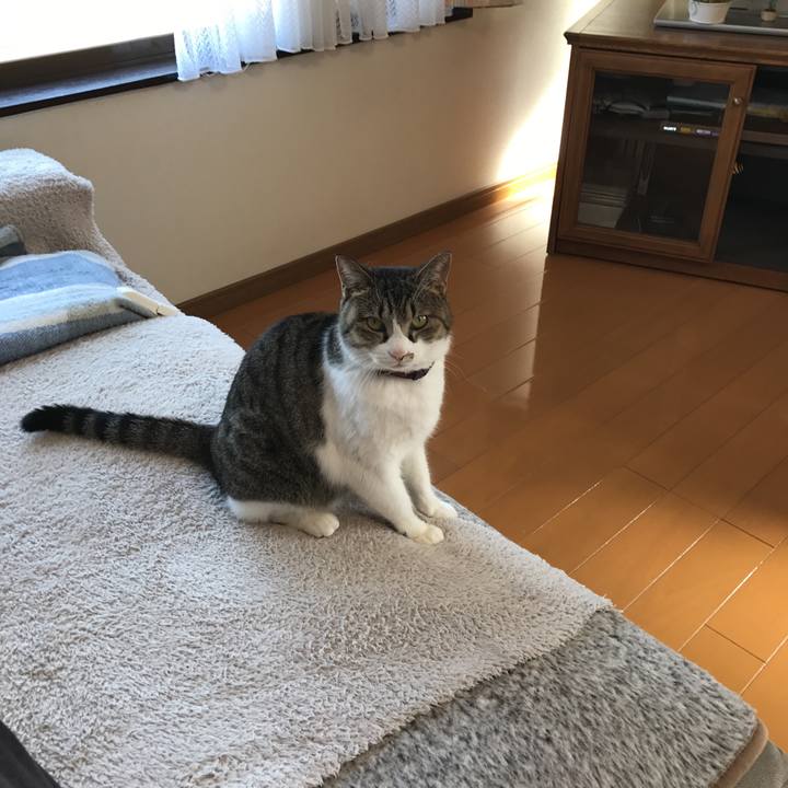 B8ab0eda 1d7b 4ff9 8155 ef58051fea59