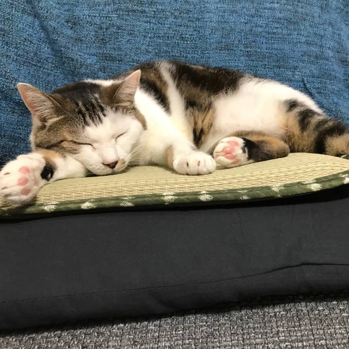 B8ab7c2b ea4a 4e02 b8e5 313479e75309