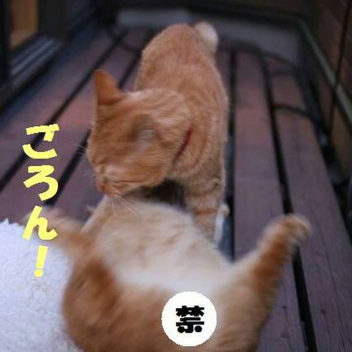 B8ab89b3 ad22 4281 9184 ca3041759d2a