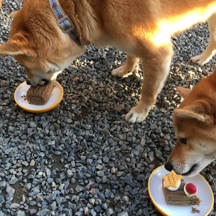 B8ac8f1e 1045 481d 9b9a 90ce78f6f30d