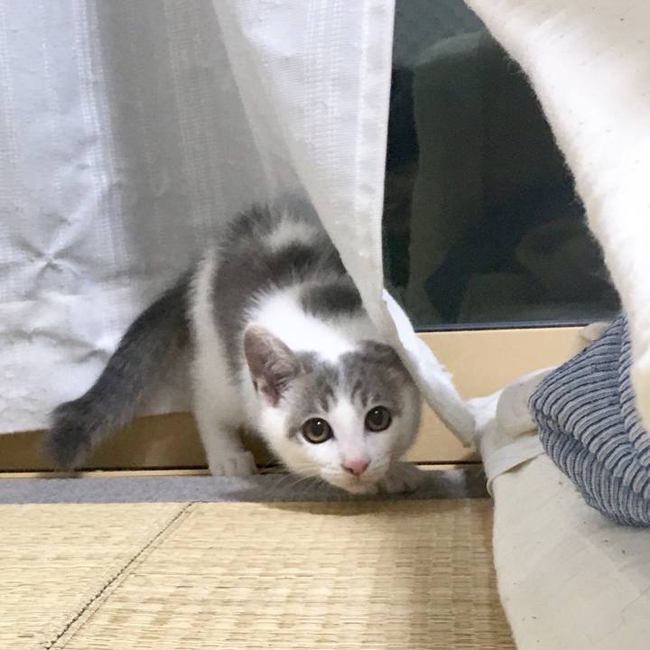 B8acd474 2d4d 421b ab6e a1b244514167