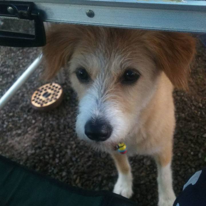 B8ad4066 b6d8 4710 b491 39b5f33a7046