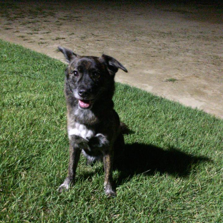 B8ad7112 ef6d 4806 a317 1c4700296145