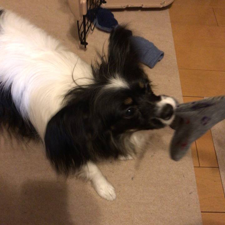 B8adf09c f064 4c76 a65e b8b9f137303a