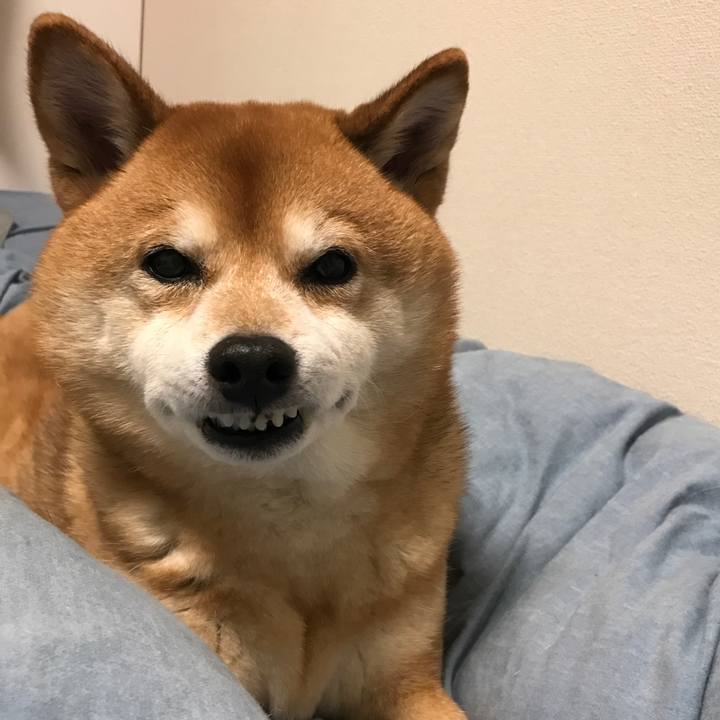 B8af4436 c871 4c08 ab09 275d07adc10a