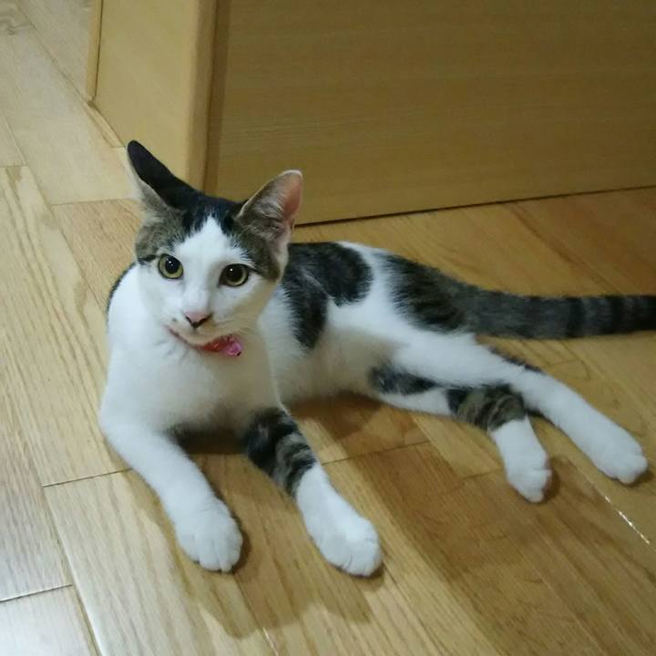 B8af50a9 8811 48b0 a272 6607748b4439