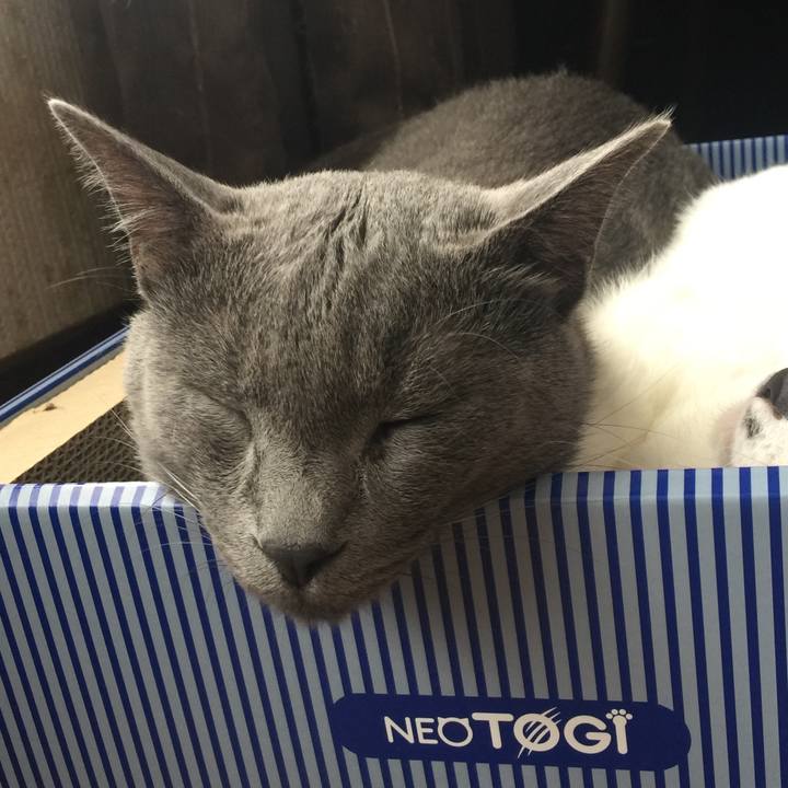 B8afa141 e3ff 4714 9f17 365173fccd3b