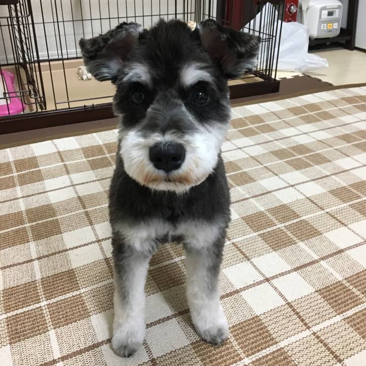 B8b045ea dd34 4012 96d9 06b1749b8afb