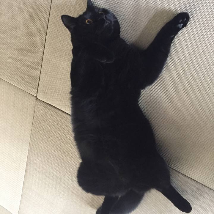 B8b0787e 43ff 4d77 9efc 56652f5c68df