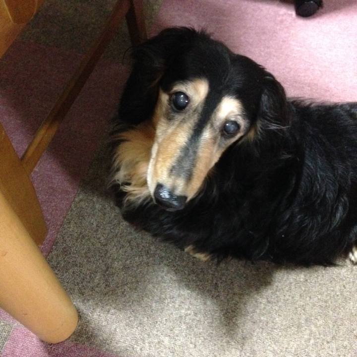 B8b08a6f ca39 4539 a5b6 9e6d9f047eb6