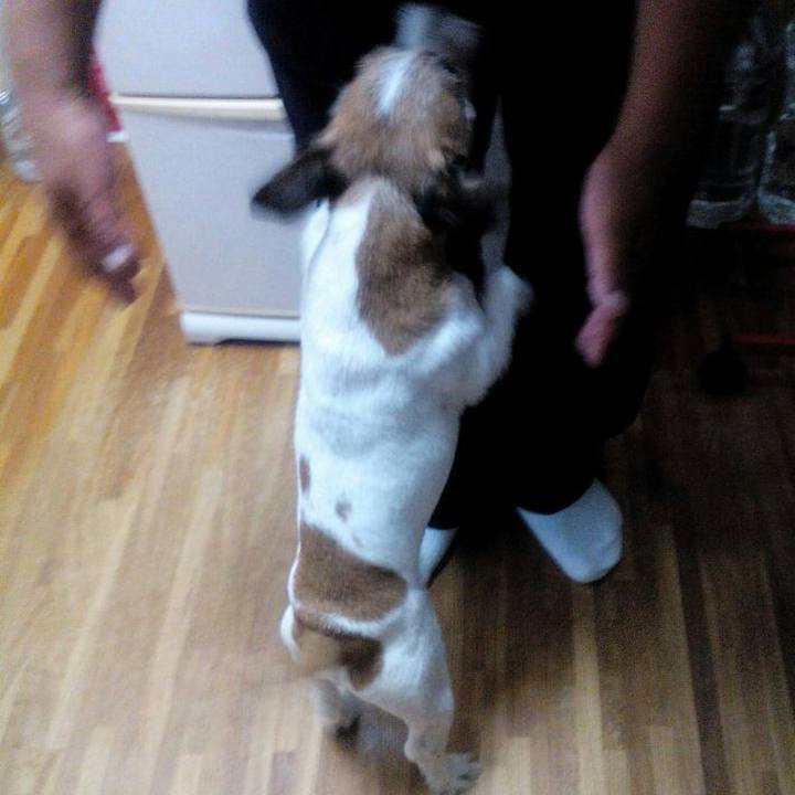 B8b0a30d 4c7f 4fb8 bd70 0419fa3b7caf