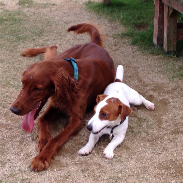 B8b0ad60 5eaa 4640 b0d9 08ce84c69153