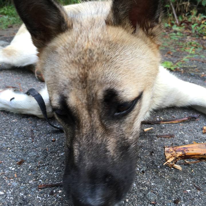 B8b0f8ab 4223 4e7d 9cc7 d4fe054ac1b6