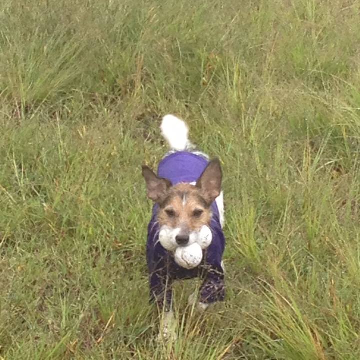 B8b12efb 5656 454d bf7a 01eee49b0441