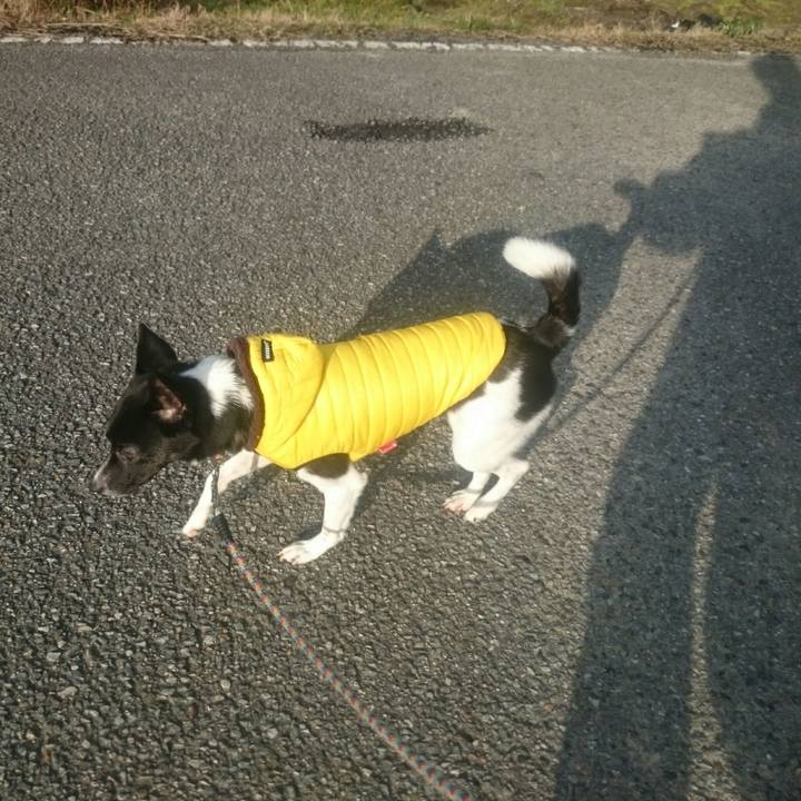 B8b1732a cb2f 4103 bc1b 8fd72d33cc4a