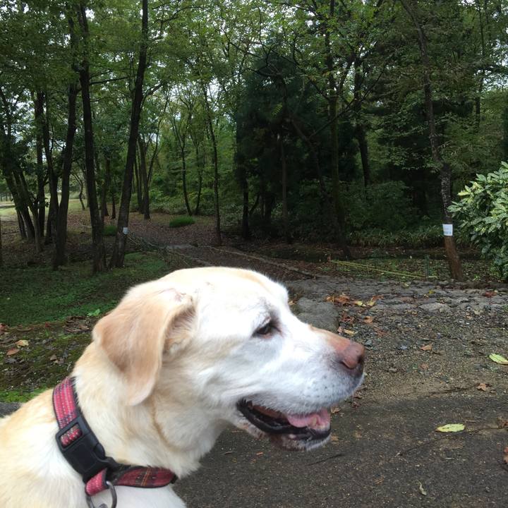 B8b1eacb f418 4e36 8a44 dc40a003b31f