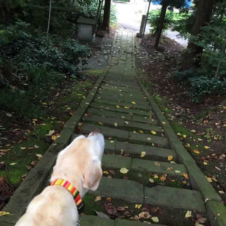 B8b290f6 277b 4f4a 9129 963927a094f9