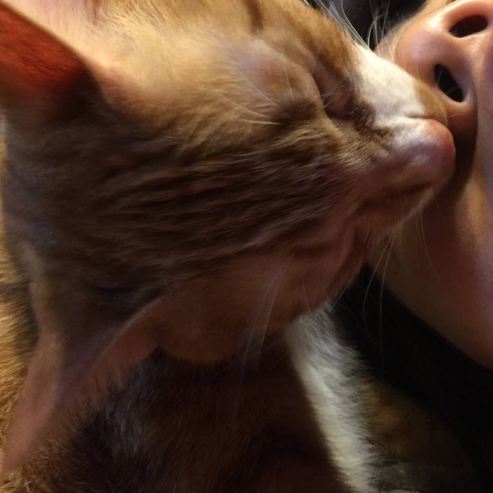 B8b2c803 45dc 466d bca2 dae480250488