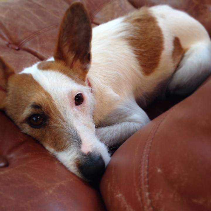 B8b3692a 9fb1 483f 8e40 a494b54a6234