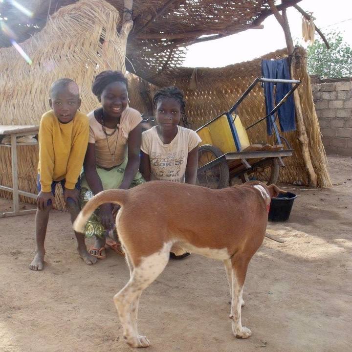 B8b38351 c3d6 40e6 ba1d b7557f3a8b77