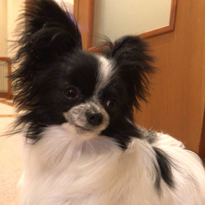 B8b39eb1 8bd5 4d84 896d ca6a7285005c