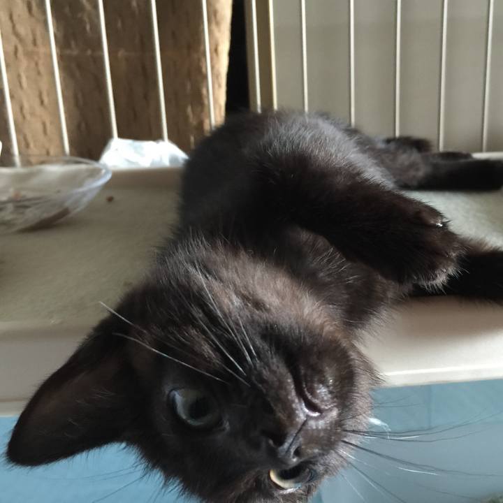 B8b42eb1 a8a3 46f5 ae97 caf356314039