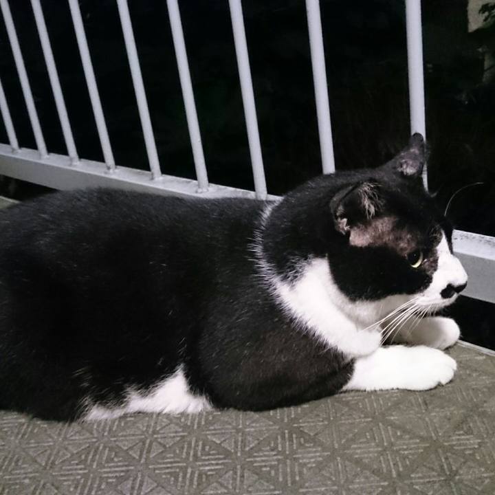 B8b4aef9 5dab 4ef8 91e0 98190f6749e5