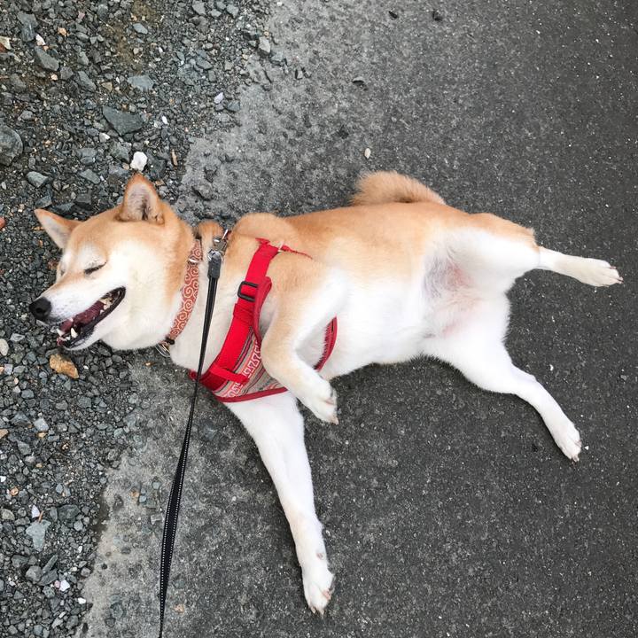 B8b4c355 5810 411e 9e47 a69c80717792