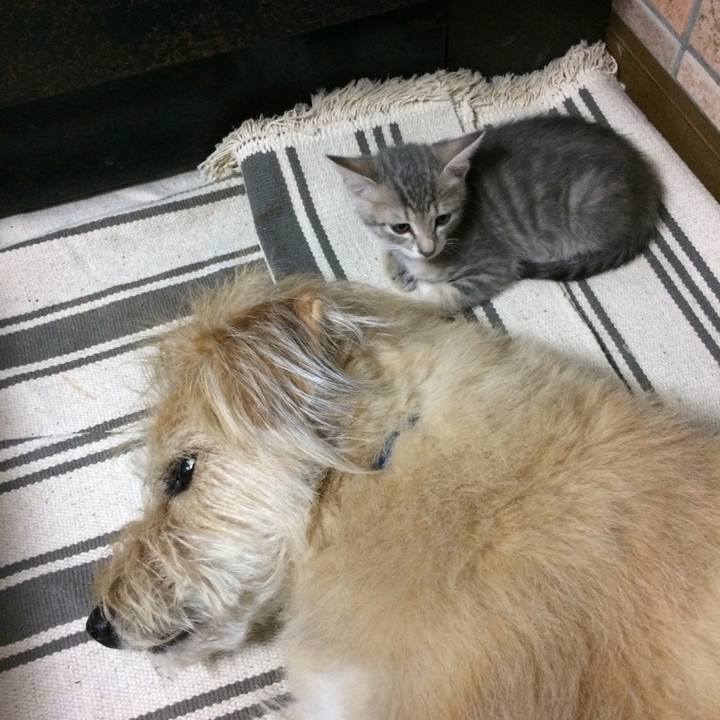 B8b4db3a a2e1 459d a600 4eb2204e2151