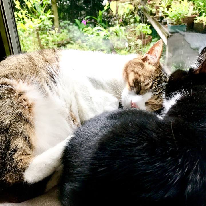 B8b55196 67bc 4f9f a109 7daf995d5b73