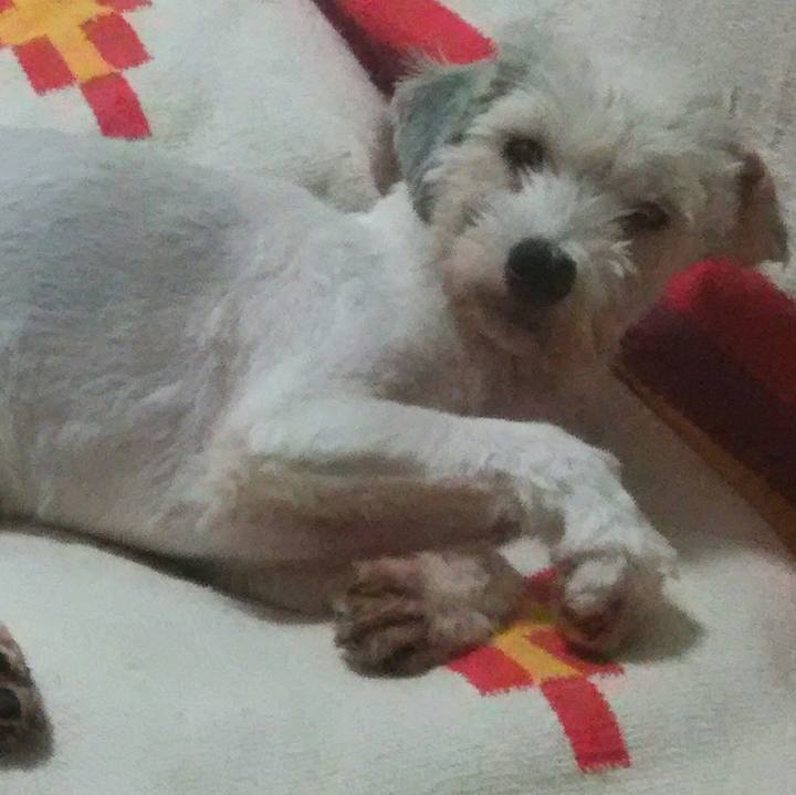 B8b573e5 8646 4973 9e33 d95937628923