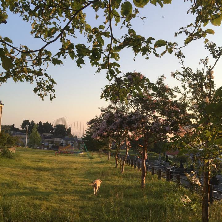 B8b57450 c7ea 4f5d aec3 d9fc425b4832