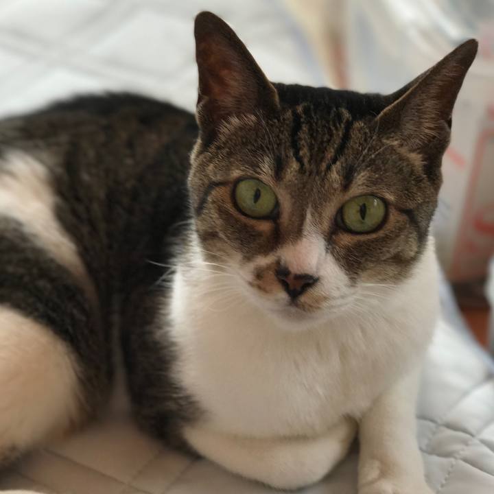 B8b62ba7 ce54 4a11 b3a4 0561286edcc1