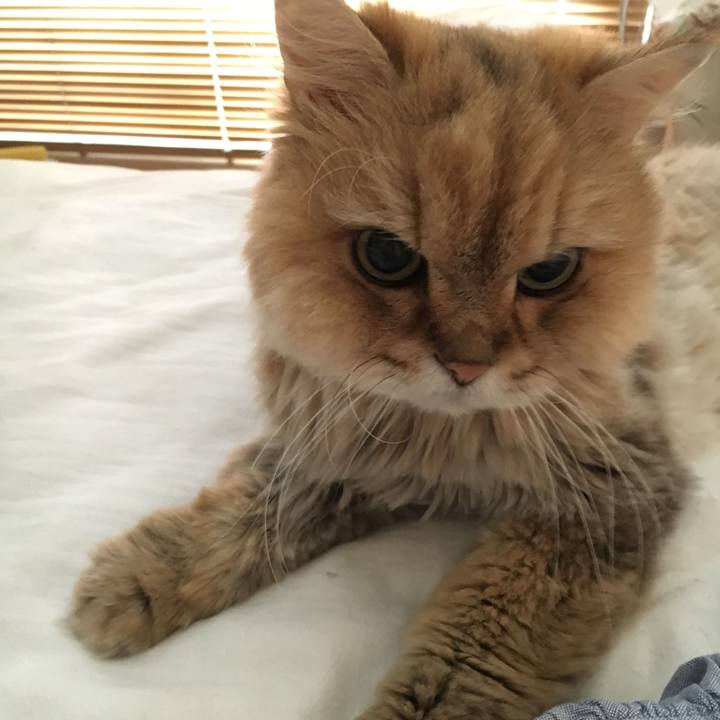 B8b7002d 0e9b 4a20 8648 825eb7d01b6b