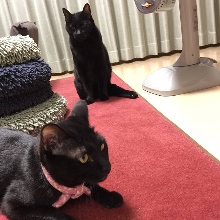 B8b7abc5 64ea 4cfc 91f6 5b09938f94ae