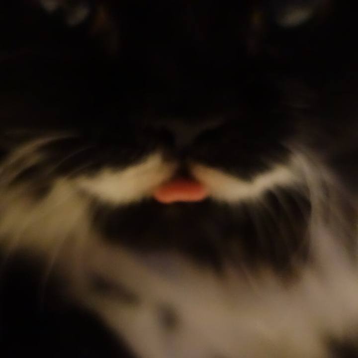 B8b85476 81a6 4120 bc83 5e973974f7b0