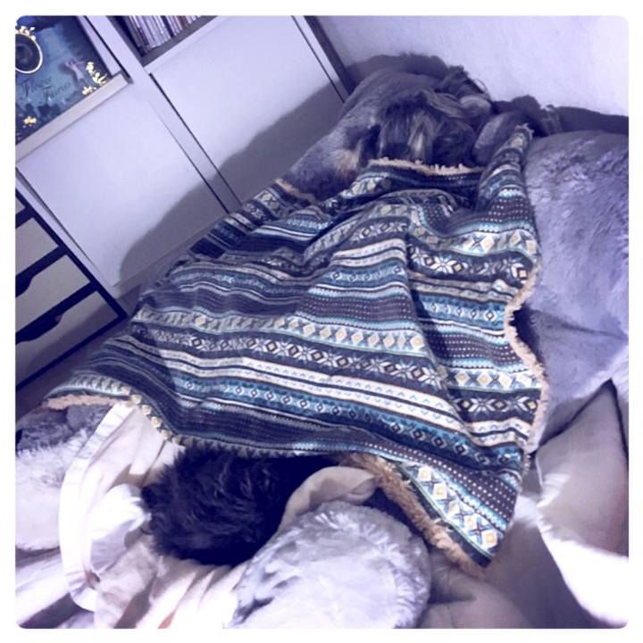 B8b90511 7925 4724 89dd eb3bb26dff2d