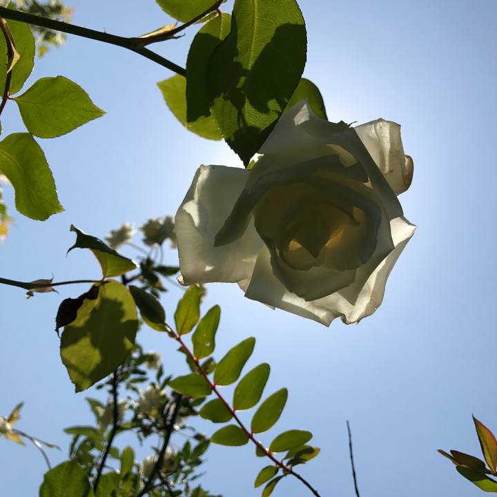 B8b96fd4 14b1 46ea 915e 0a69543345c3