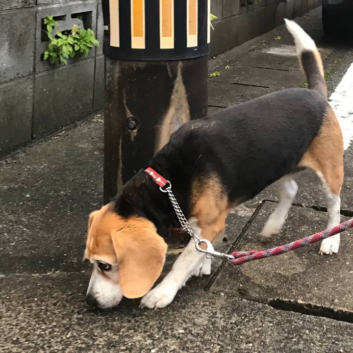 B8b9e4f3 e44f 4508 8fef 224c945f5306