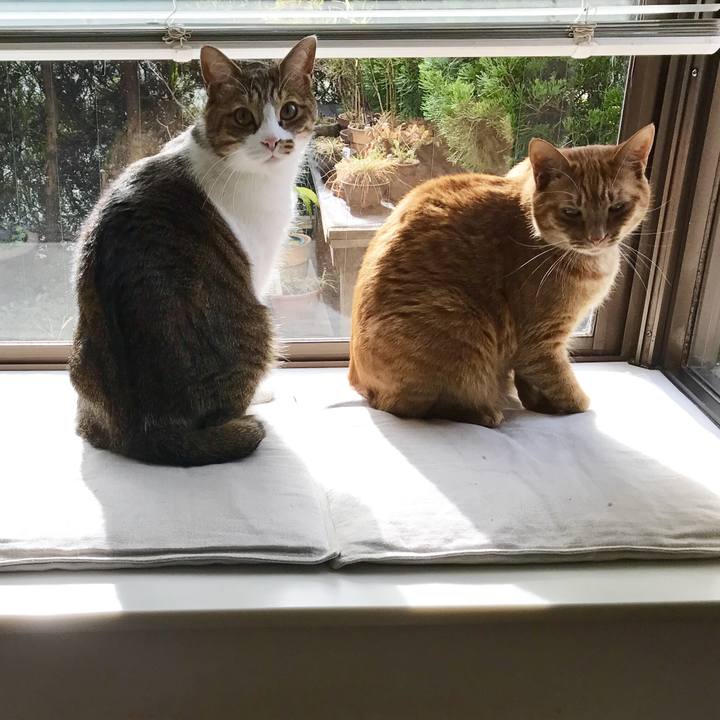 B8b9f2a4 abde 4f8a 92a9 b3c5a5b1d27c