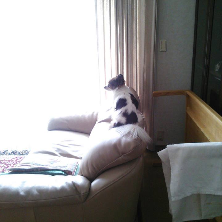 B8ba033d aec5 4a72 b75b 59fe79ffff34