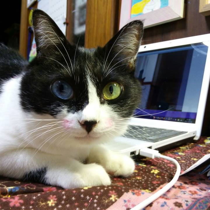 B8ba43f6 fa74 4816 98e2 c8329a74b3b6